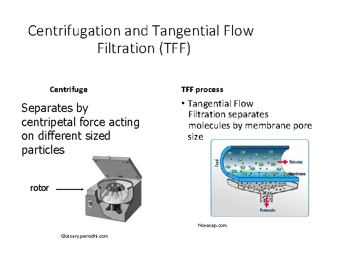 Centrifugation and Tangential Flow Filtration (TFF) Centrifuge Separates by centripetal force acting on different