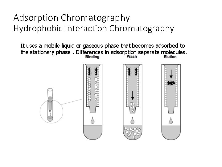 Adsorption Chromatography Hydrophobic Interaction Chromatography It uses a mobile liquid or gaseous phase that