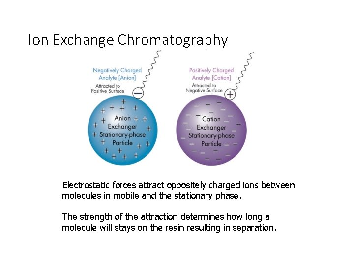 Ion Exchange Chromatography Electrostatic forces attract oppositely charged ions between molecules in mobile and
