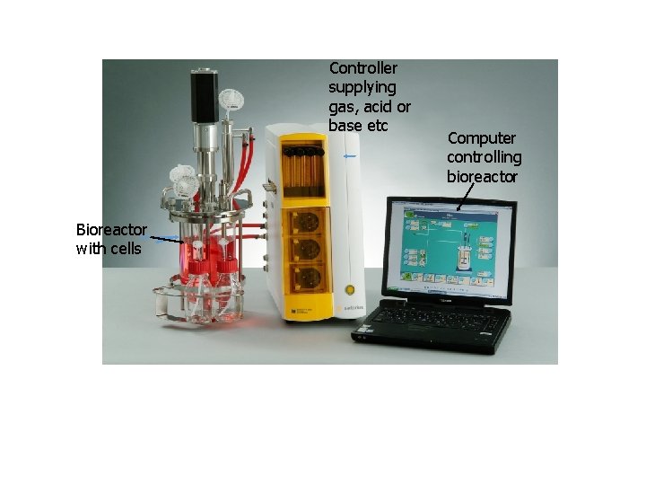 Controller supplying gas, acid or base etc Bioreactor with cells Computer controlling bioreactor 