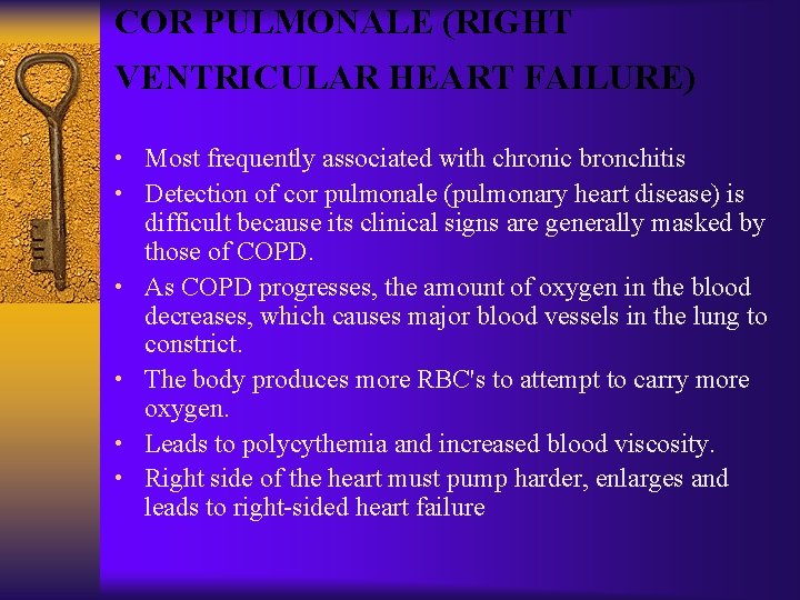 COR PULMONALE (RIGHT VENTRICULAR HEART FAILURE) • Most frequently associated with chronic bronchitis •