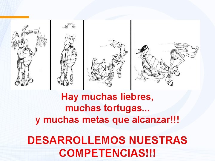 Hay muchas liebres, muchas tortugas. . . y muchas metas que alcanzar!!! DESARROLLEMOS NUESTRAS