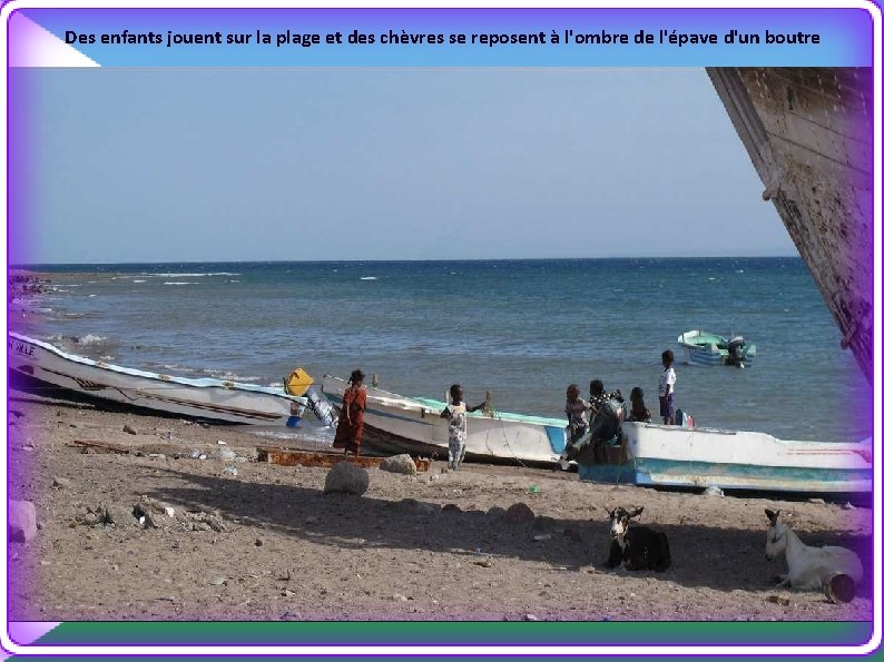 Des enfants jouent sur la plage et des chèvres se reposent à l'ombre de