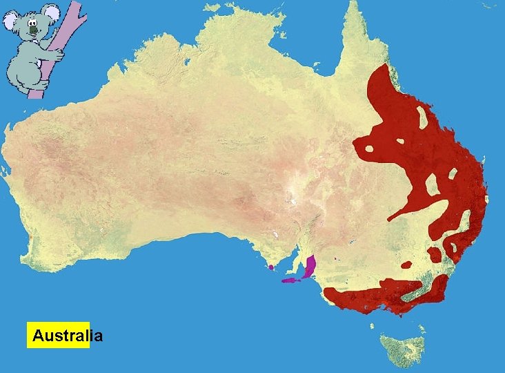 Australia 