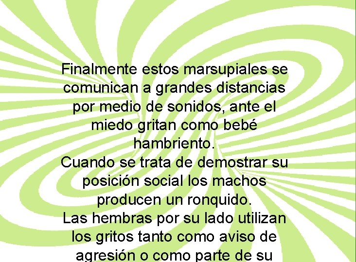 Finalmente estos marsupiales se comunican a grandes distancias por medio de sonidos, ante el
