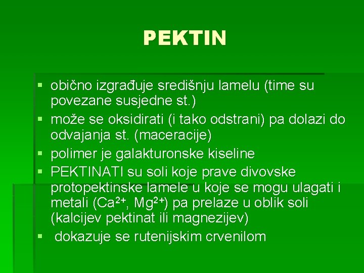 PEKTIN § obično izgrađuje središnju lamelu (time su povezane susjedne st. ) § može