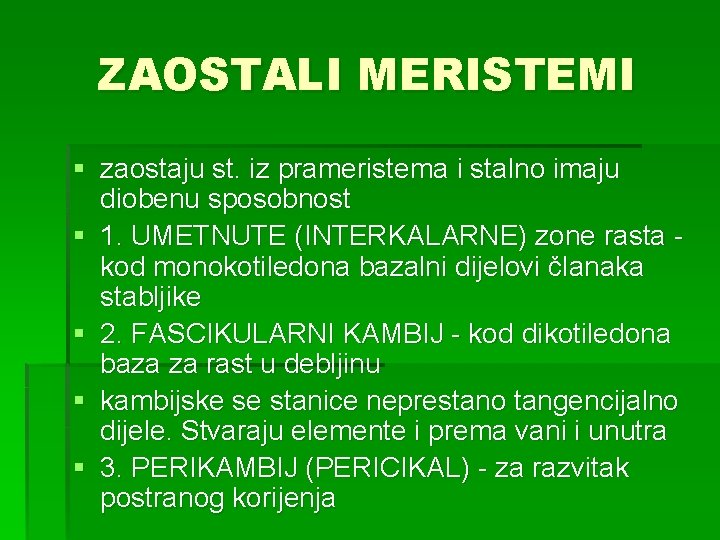 ZAOSTALI MERISTEMI § zaostaju st. iz prameristema i stalno imaju diobenu sposobnost § 1.