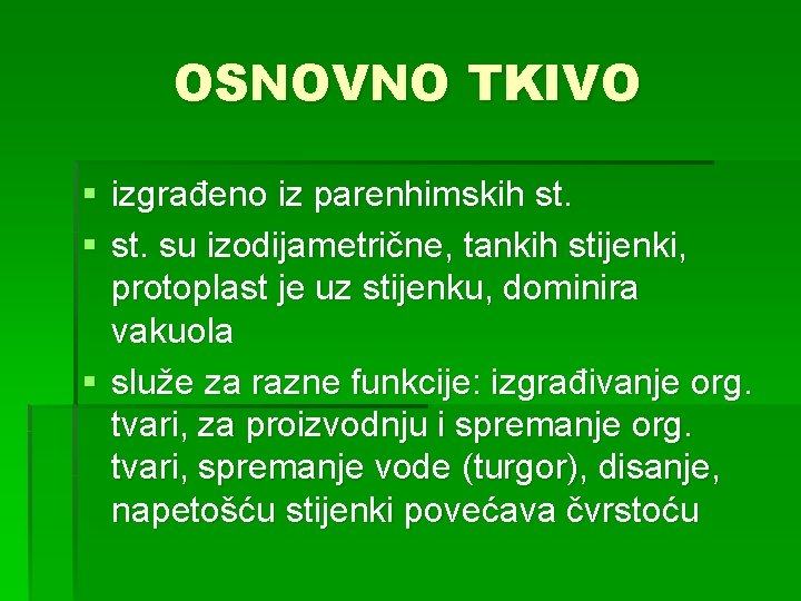 OSNOVNO TKIVO § izgrađeno iz parenhimskih st. § st. su izodijametrične, tankih stijenki, protoplast