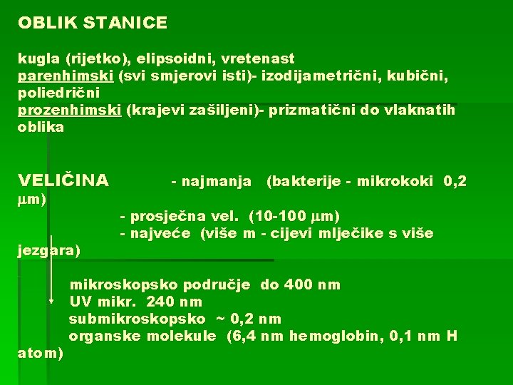 OBLIK STANICE kugla (rijetko), elipsoidni, vretenast parenhimski (svi smjerovi isti)- izodijametrični, kubični, poliedrični prozenhimski