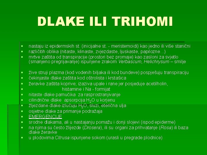 DLAKE ILI TRIHOMI § § § nastaju iz epidermskih st. (inicijalne st. - meristemoidi)