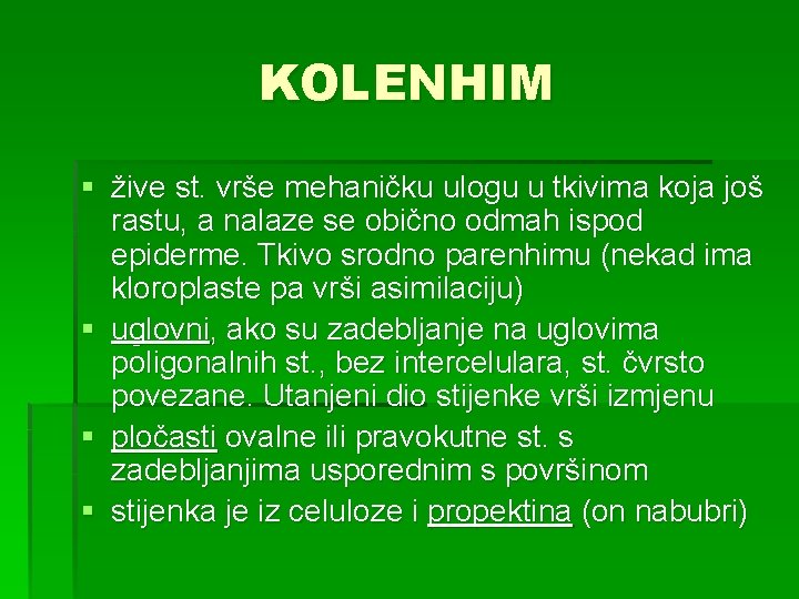 KOLENHIM § žive st. vrše mehaničku ulogu u tkivima koja još rastu, a nalaze
