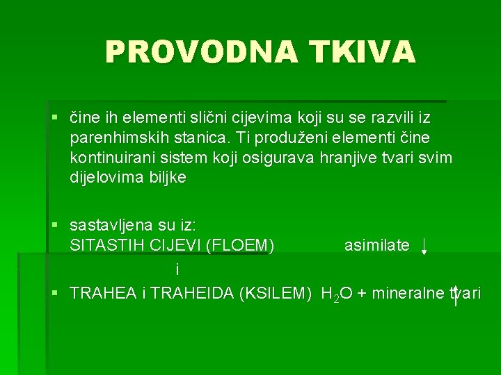 PROVODNA TKIVA § čine ih elementi slični cijevima koji su se razvili iz parenhimskih