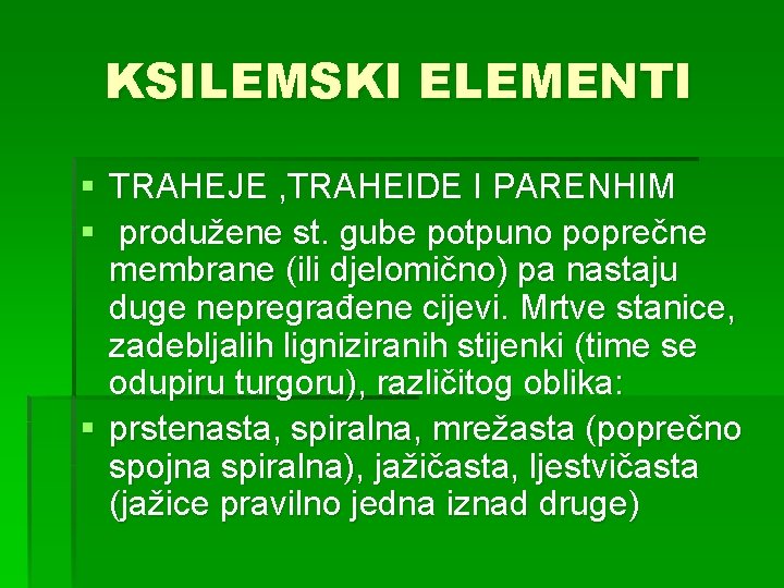 KSILEMSKI ELEMENTI § TRAHEJE , TRAHEIDE I PARENHIM § produžene st. gube potpuno poprečne
