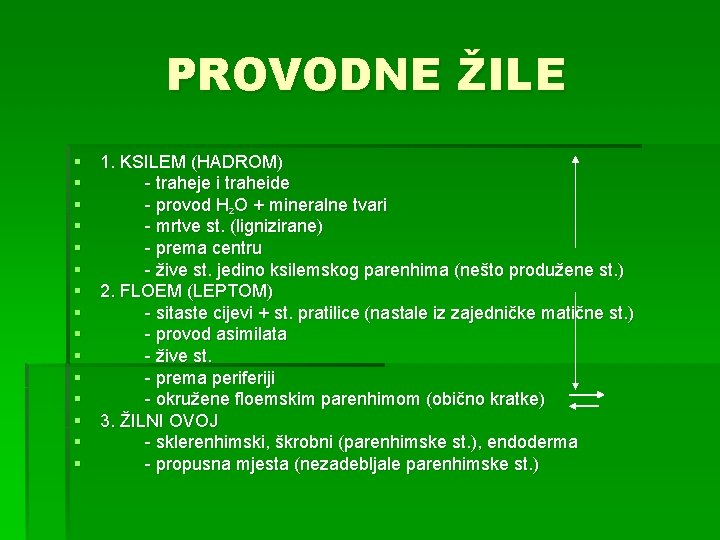 PROVODNE ŽILE § 1. KSILEM (HADROM) § - traheje i traheide § - provod