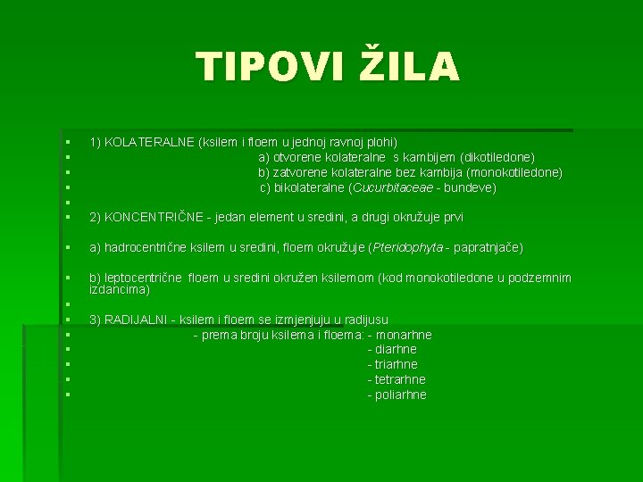 TIPOVI ŽILA § § § 1) KOLATERALNE (ksilem i floem u jednoj ravnoj plohi)