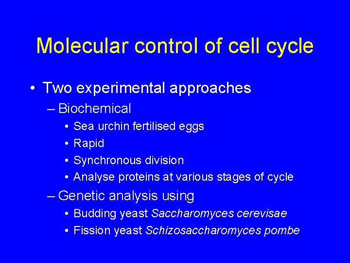 Molecular control of cell cycle • Two experimental approaches – Biochemical • • Sea