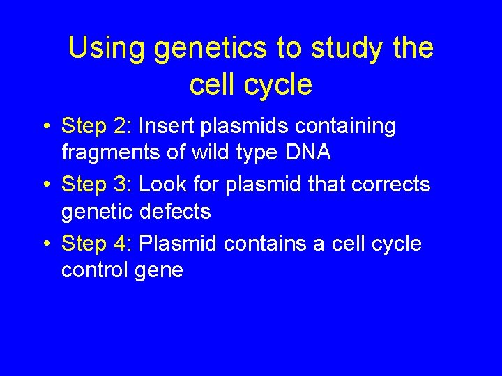 Using genetics to study the cell cycle • Step 2: Insert plasmids containing fragments