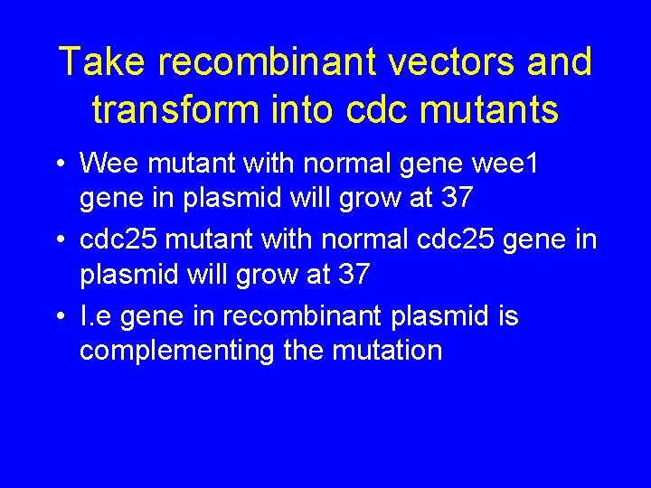 Take recombinant vectors and transform into cdc mutants • Wee mutant with normal gene