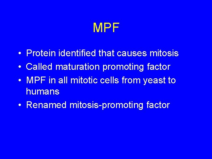 MPF • Protein identified that causes mitosis • Called maturation promoting factor • MPF