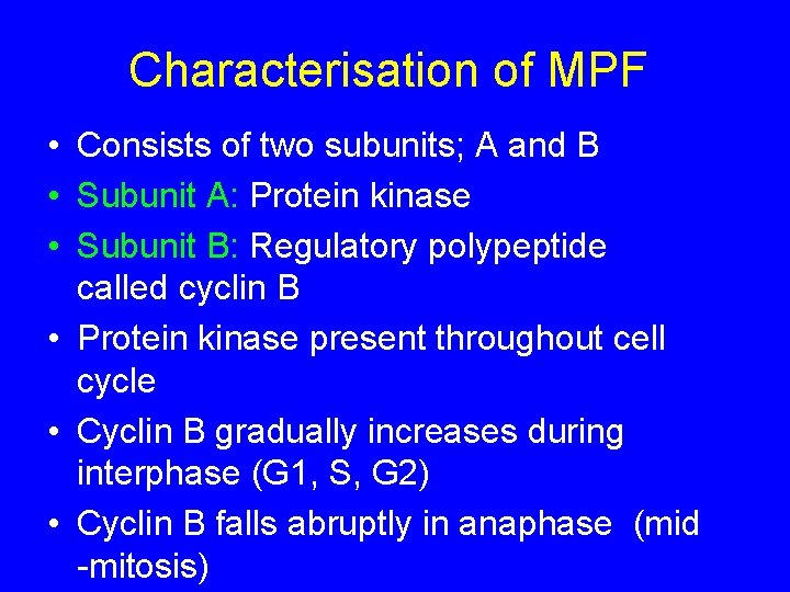 Characterisation of MPF • Consists of two subunits; A and B • Subunit A: