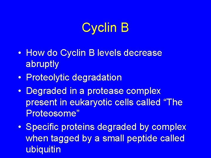 Cyclin B • How do Cyclin B levels decrease abruptly • Proteolytic degradation •