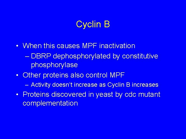 Cyclin B • When this causes MPF inactivation – DBRP dephosphorylated by constitutive phosphorylase