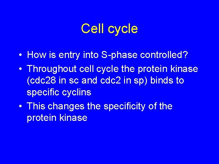 Cell cycle • How is entry into S-phase controlled? • Throughout cell cycle the