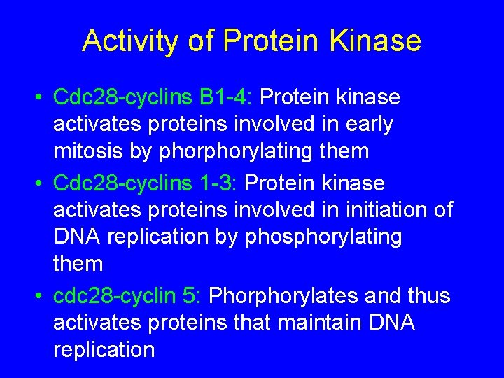 Activity of Protein Kinase • Cdc 28 -cyclins B 1 -4: Protein kinase activates