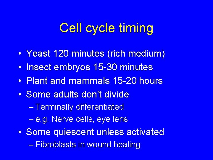 Cell cycle timing • • Yeast 120 minutes (rich medium) Insect embryos 15 -30