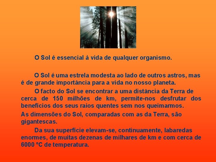 O Sol é essencial à vida de qualquer organismo. O Sol é uma estrela