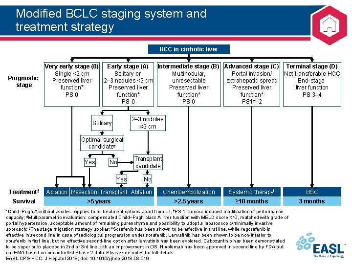 Modified BCLC staging system and treatment strategy HCC in cirrhotic liver Very early stage