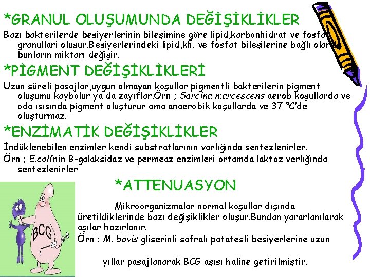 *GRANUL OLUŞUMUNDA DEĞİŞİKLİKLER Bazı bakterilerde besiyerlerinin bileşimine göre lipid, karbonhidrat ve fosfat granullari oluşur.