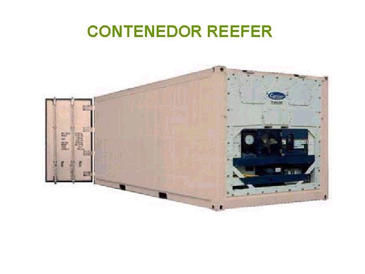 CONTENEDOR REEFER 