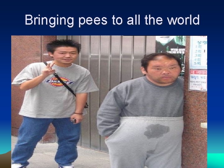 Bringing pees to all the world 