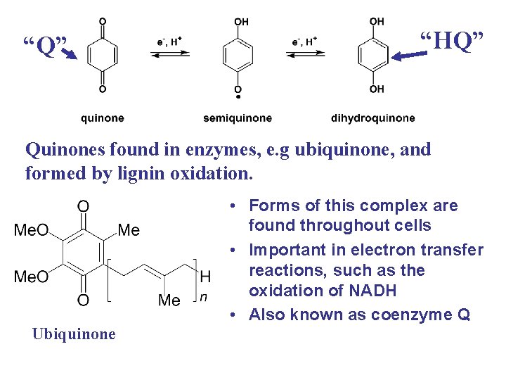 “Q” “HQ” Quinones found in enzymes, e. g ubiquinone, and formed by lignin oxidation.