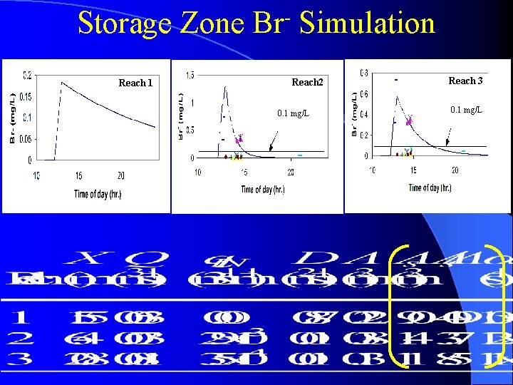 Storage Zone Br- Simulation Reach 1 Reach 2 0. 1 mg/L Reach 3 0.