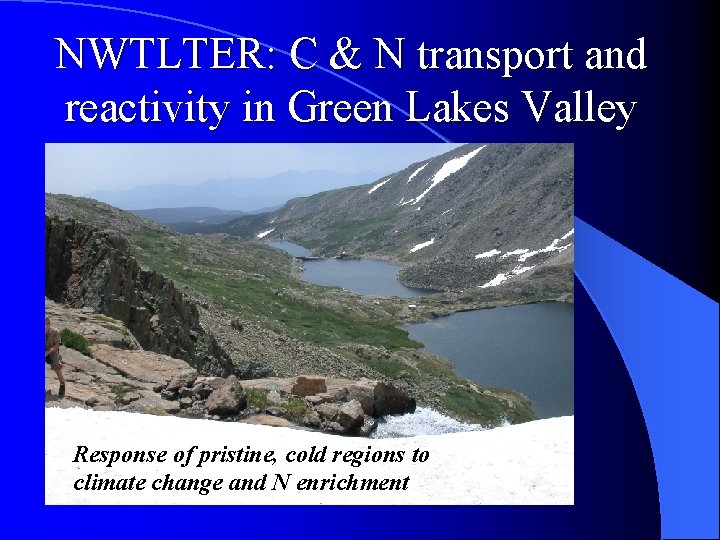 NWTLTER: C & N transport and reactivity in Green Lakes Valley Response of pristine,