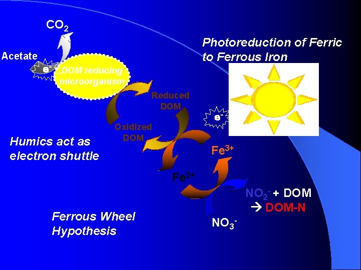 CO 2 Photoreduction of Ferric to Ferrous Iron Acetate e- DOM reducing microorganism Reduced
