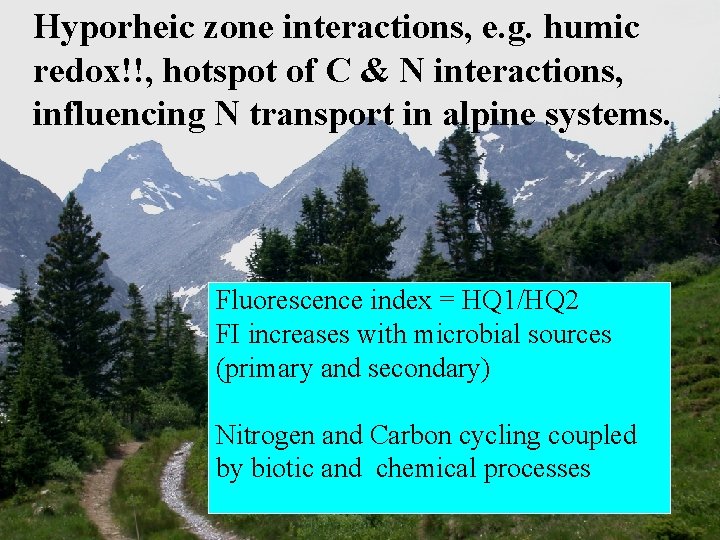Hyporheic zone interactions, e. g. humic redox!!, hotspot of C & N interactions, influencing