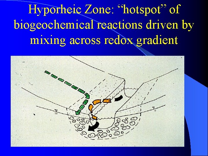 Hyporheic Zone: “hotspot” of biogeochemical reactions driven by mixing across redox gradient 