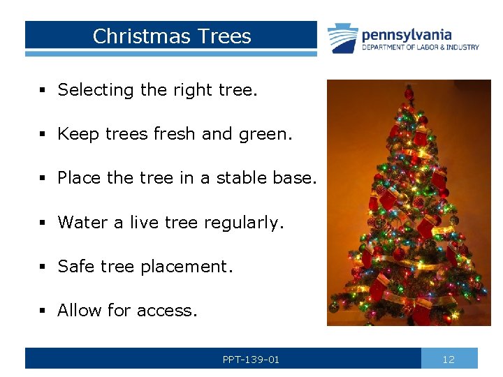 Christmas Trees § Selecting the right tree. § Keep trees fresh and green. §