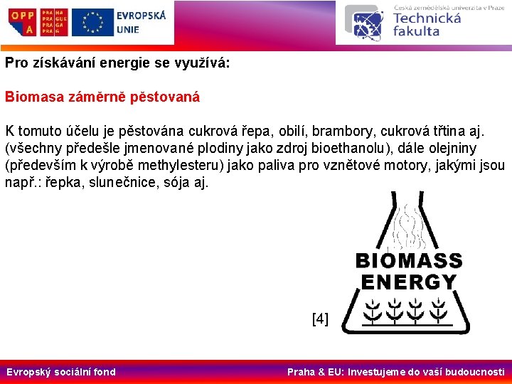 Pro získávání energie se využívá: Biomasa záměrně pěstovaná K tomuto účelu je pěstována cukrová