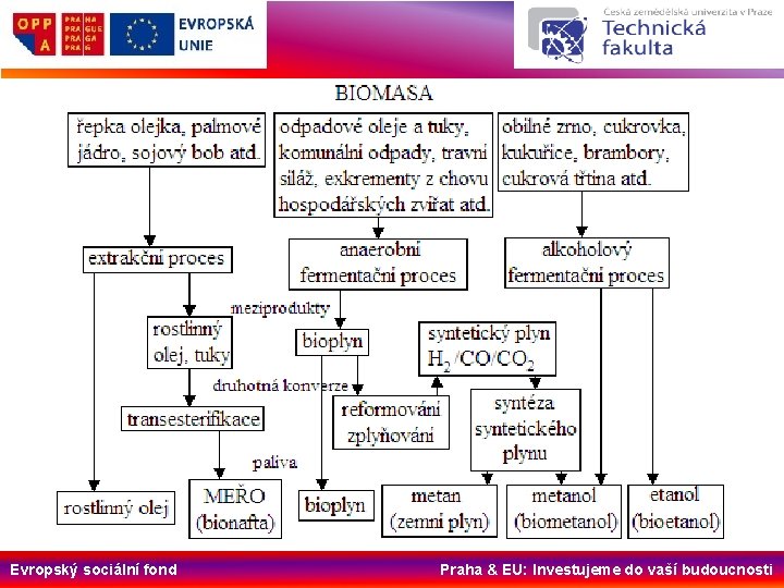 Evropský sociální fond Praha & EU: Investujeme do vaší budoucnosti 