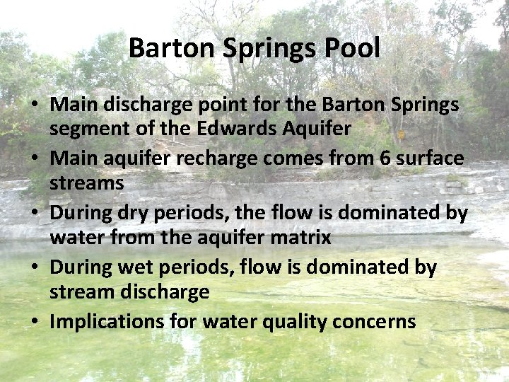 Barton Springs Pool • Main discharge point for the Barton Springs segment of the