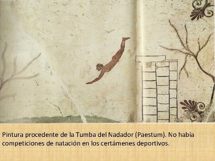 Pintura procedente de la Tumba del Nadador (Paestum). No había competiciones de natación en