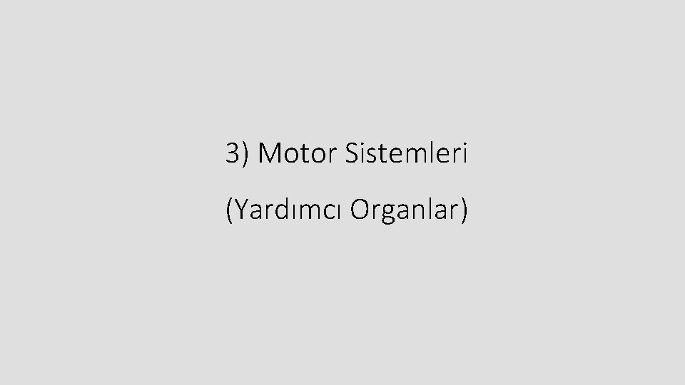 3) Motor Sistemleri (Yardımcı Organlar) 