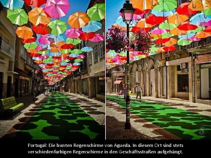 Portugal: Die bunten Regenschirme von Agueda. In diesem Ort sind stets verschiedenfarbigen Regenschirme in