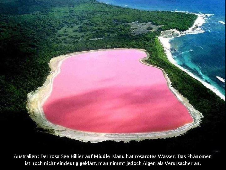 Australien: Der rosa See Hillier auf Middle Island hat rosarotes Wasser. Das Phänomen ist