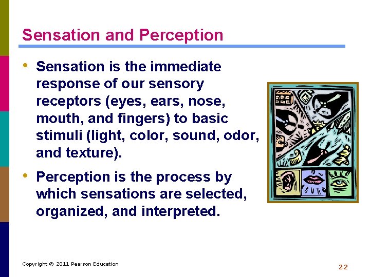 Sensation and Perception • Sensation is the immediate response of our sensory receptors (eyes,