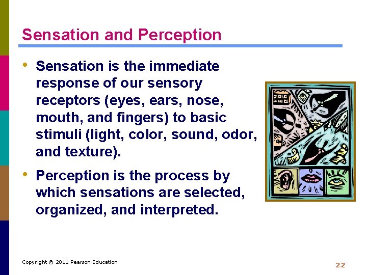 Sensation and Perception • Sensation is the immediate response of our sensory receptors (eyes,